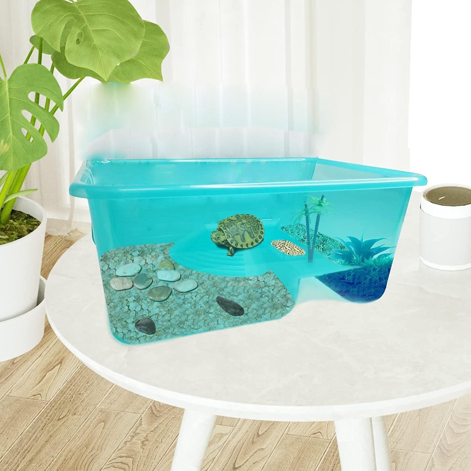 Jainsons Pet Products Reptiles & Amphibians Terrariums House, Habitat Reptile House Safe and Durable (Without Lid & Accessori
